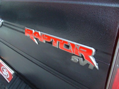 Ford Raptor mit Zusatzextras, Hammerschlaglack, LPG